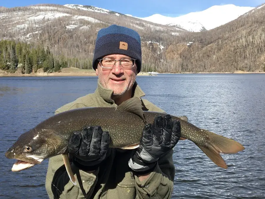 Lake trout (Salvelinus namaycush)