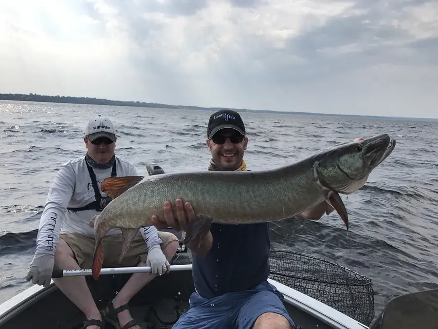 Muskellunge (Esox masquinongy)