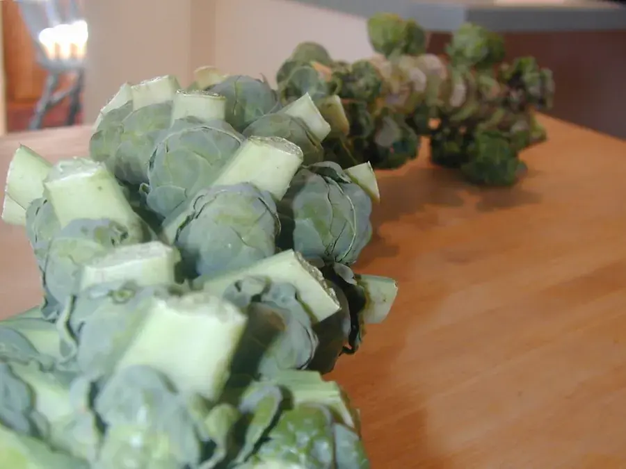 Brussels sprouts
