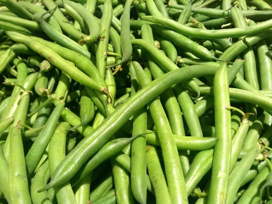 Green beans