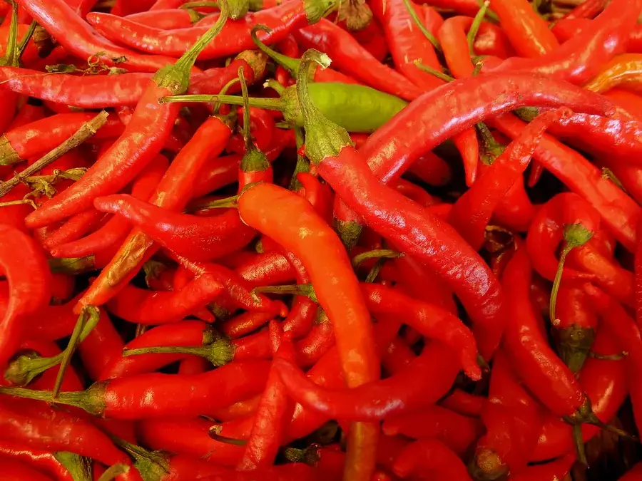 Hot peppers