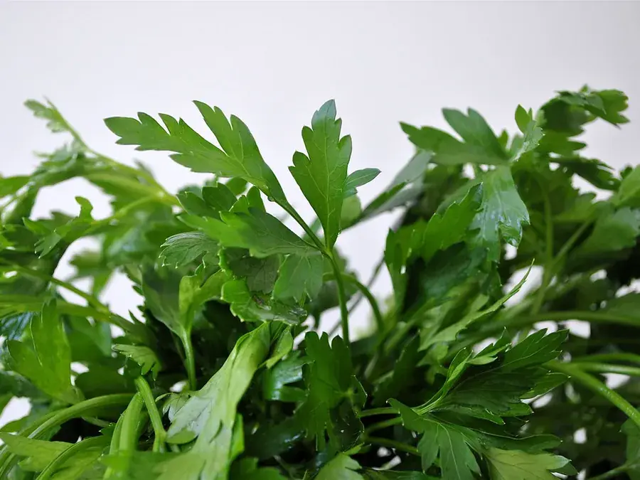 Parsley