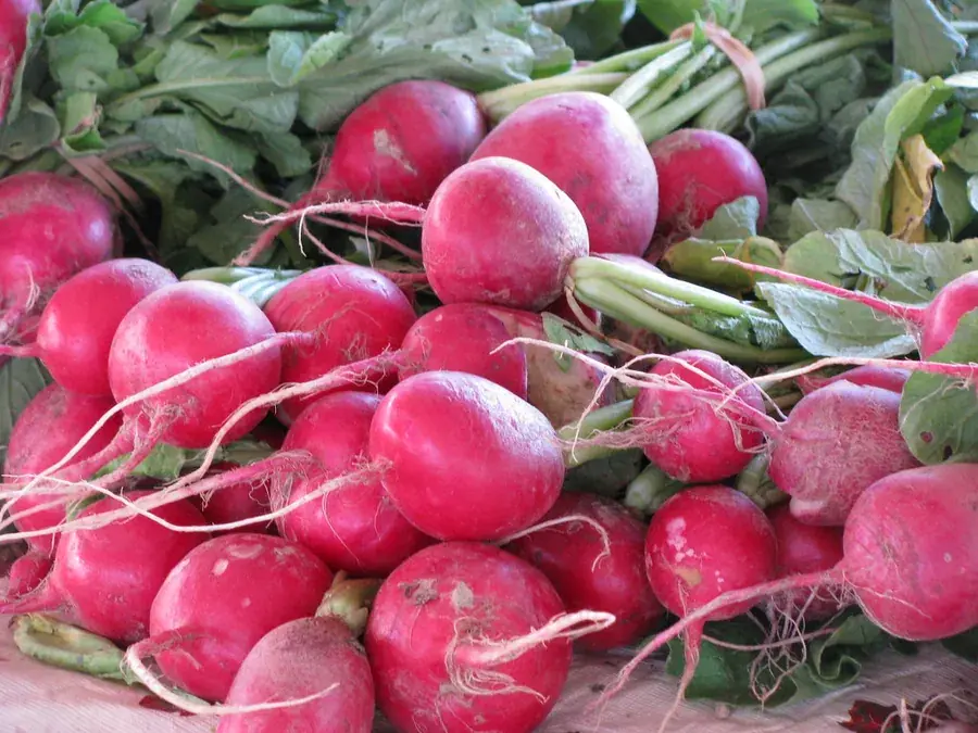 Radishes