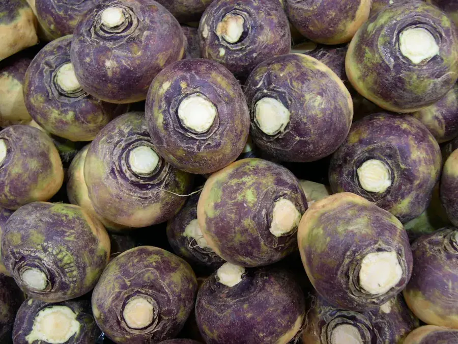 Rutabagas