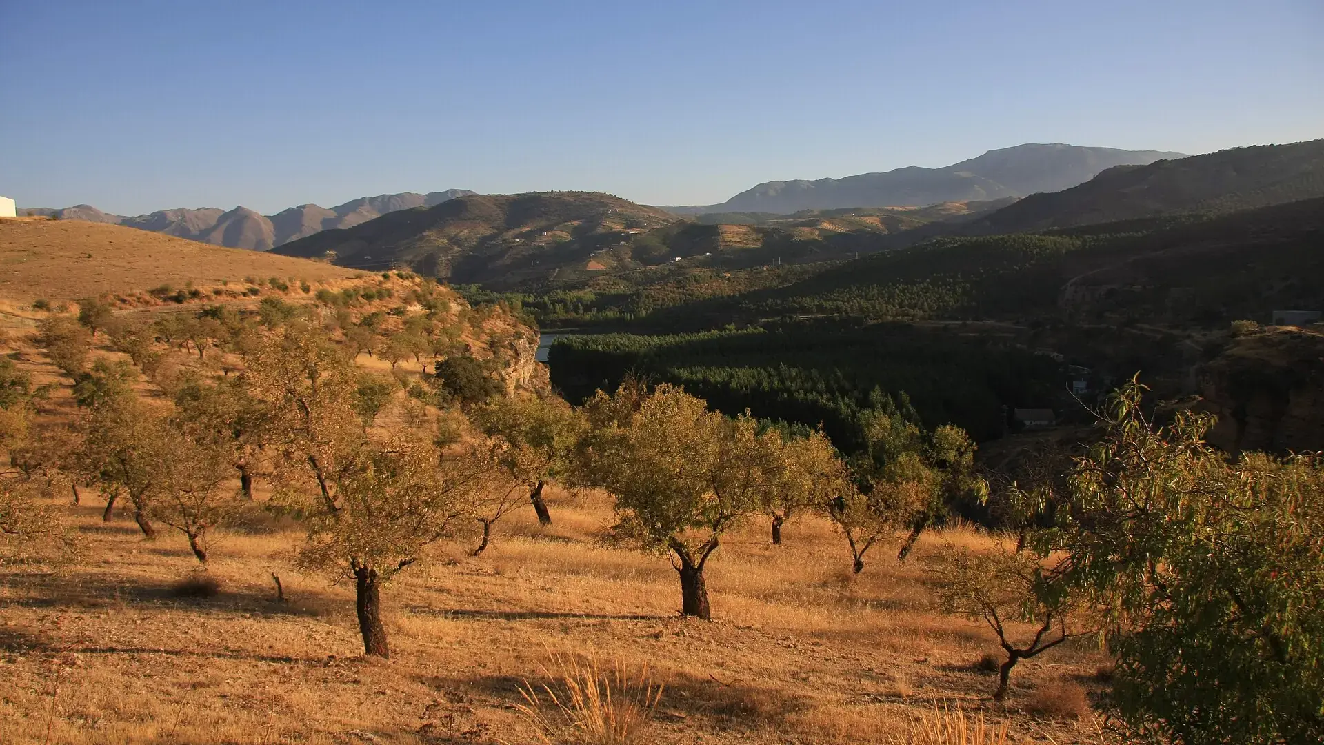 Comarca of Alhama de Granada