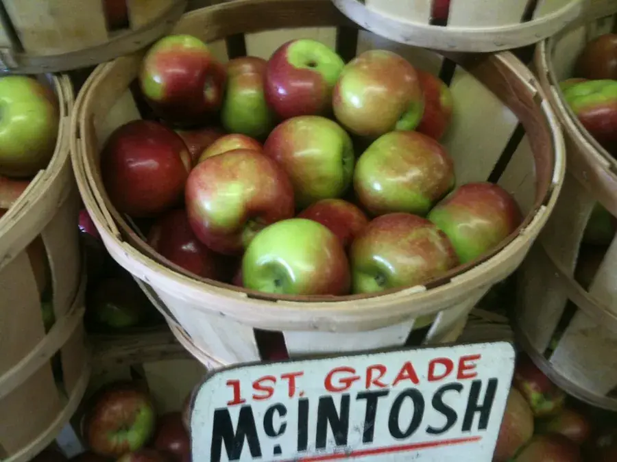 Apples